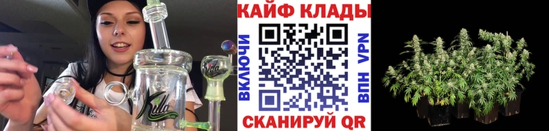Все наркотики Гаврилов-Ям АМФ  Марихуана  блэк спрут tor  Кокаин 