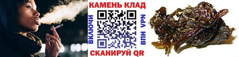 kraken ссылки Гаврилов-Ям ГАШ гарик