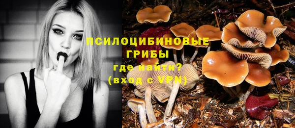 сатива Верхнеуральск