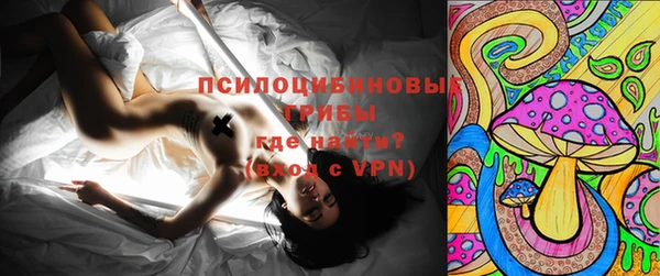 а пвп мука Бугульма